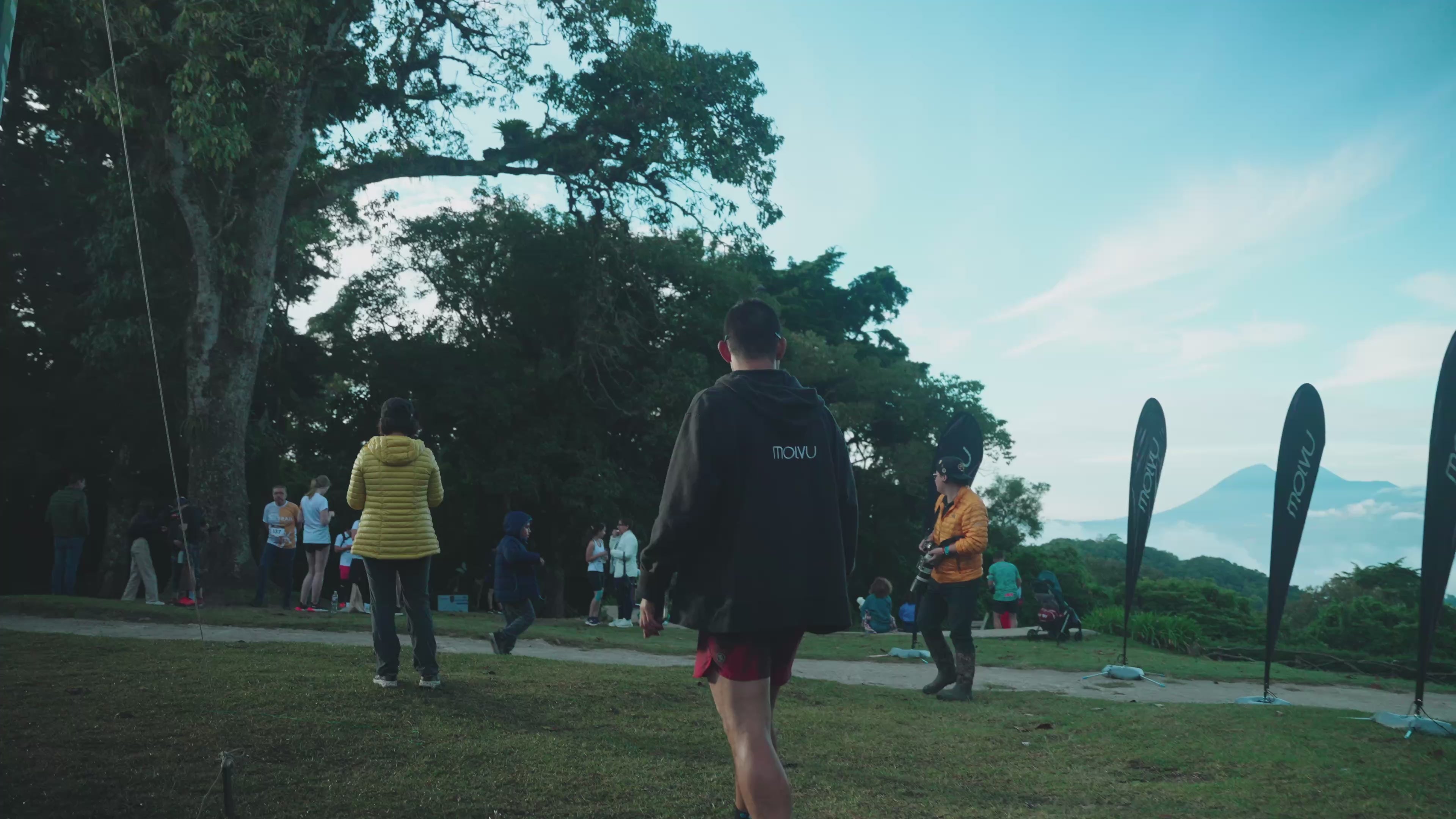 Cargar video: 