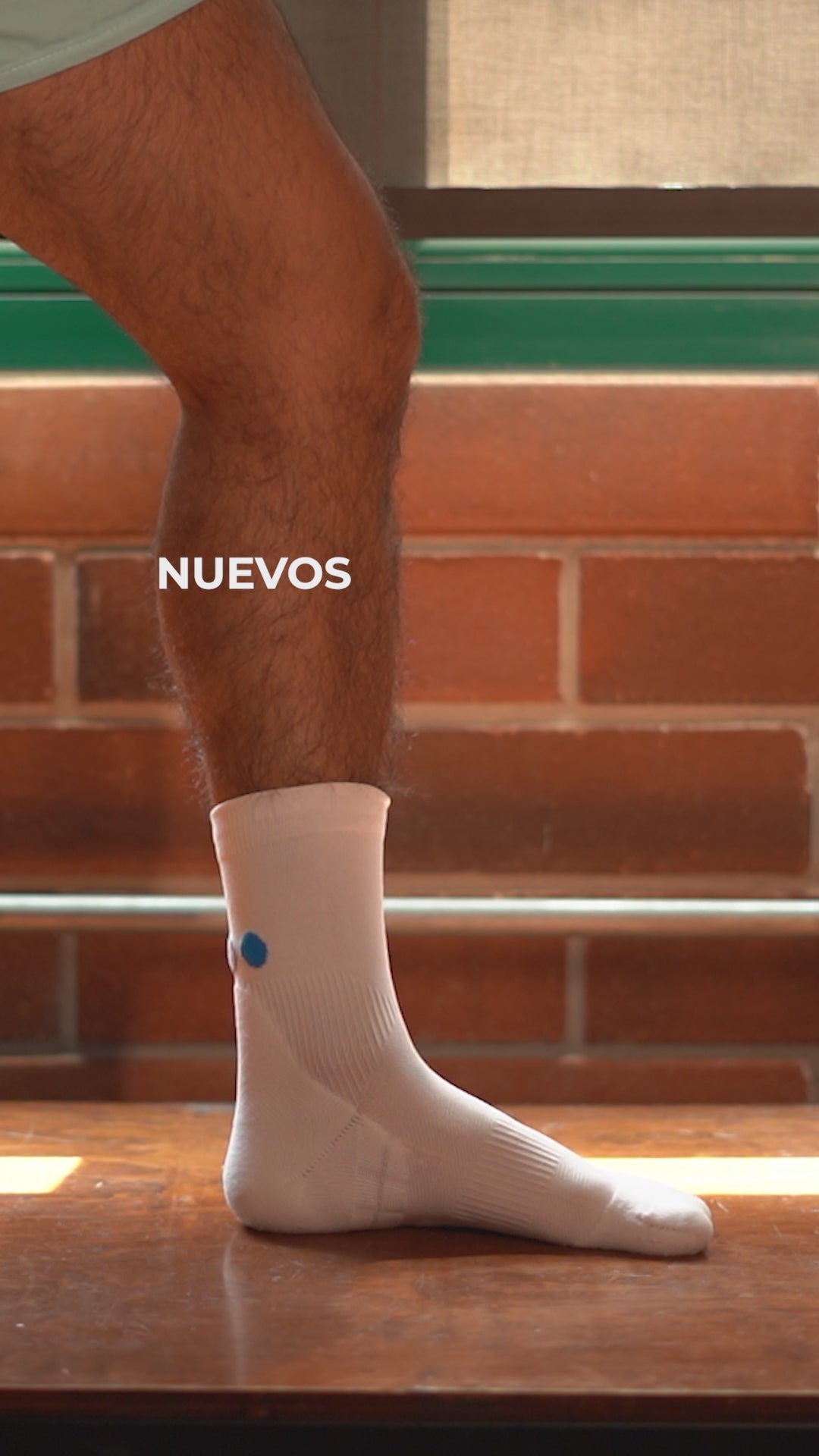 Las 4 alturas de los calcetines Pata de Chucho Training puestas: Quarter, TAB, Mini Crew y Crew